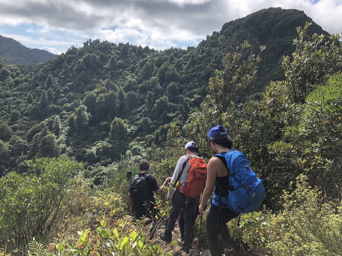 Tramping Walking with purpose in New Zealand Nature & Nosh