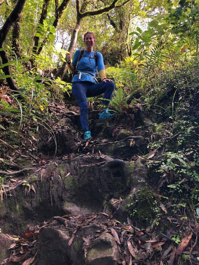 A short, steep scramble up Maungatautari to the rocky outcrop! A great challenge requiring some upper body strength.
